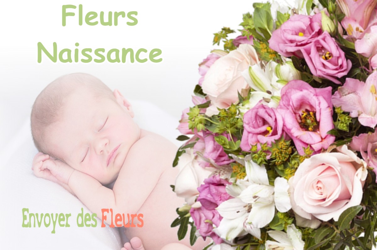 lIVRAISON FLEURS NAISSANCE à PONT-DE-CHERUY